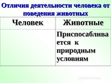 Отличия деятельности от поведения животного