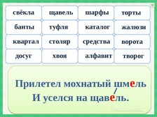 Поставь ударение щавель